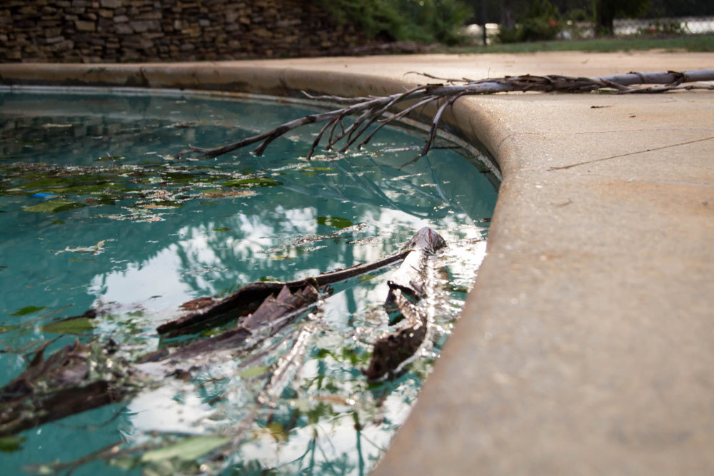 Pool cleanup after a storm: leaves and debris floating on water before algae prevention steps